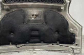 Capot FORD FUSION
