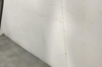Porte avant droit VOLKSWAGEN NEW BEETLE 1