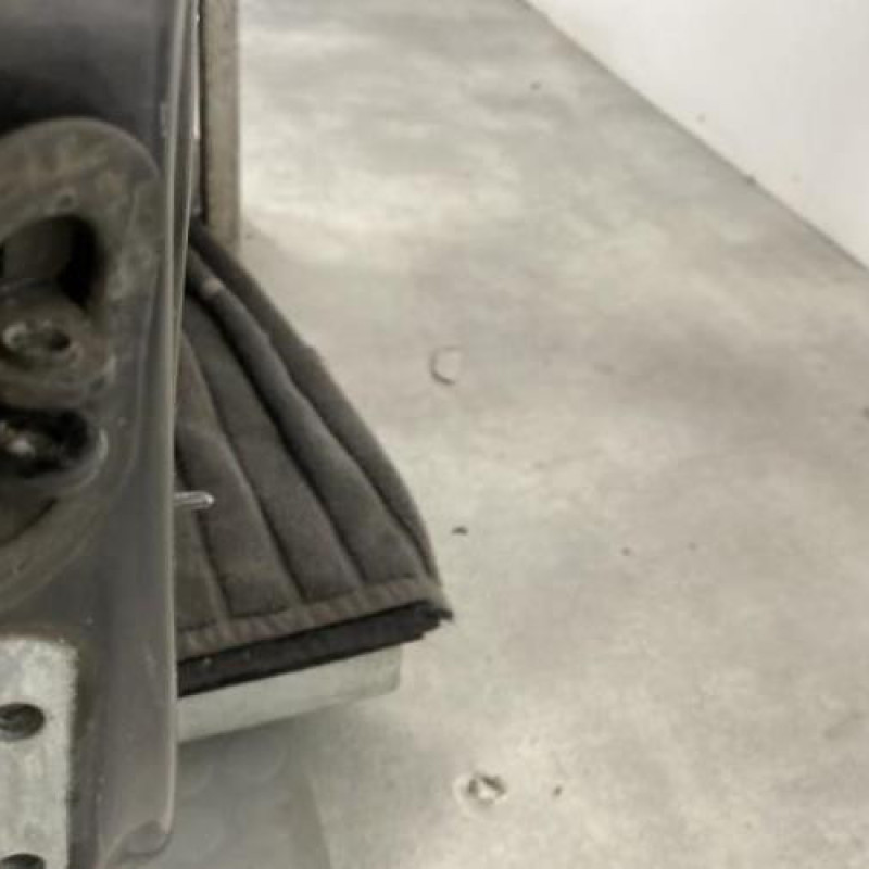 Porte avant droit VOLKSWAGEN NEW BEETLE 1 Photo n°4