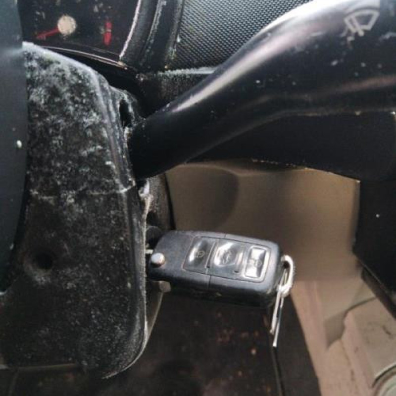 Porte avant droit VOLKSWAGEN NEW BEETLE 1 Photo n°14