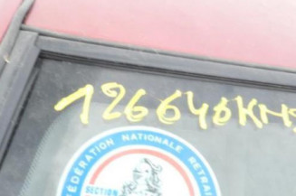 Porte arriere gauche NISSAN PRIMERA 2