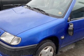 Porte arriere droit CITROEN SAXO