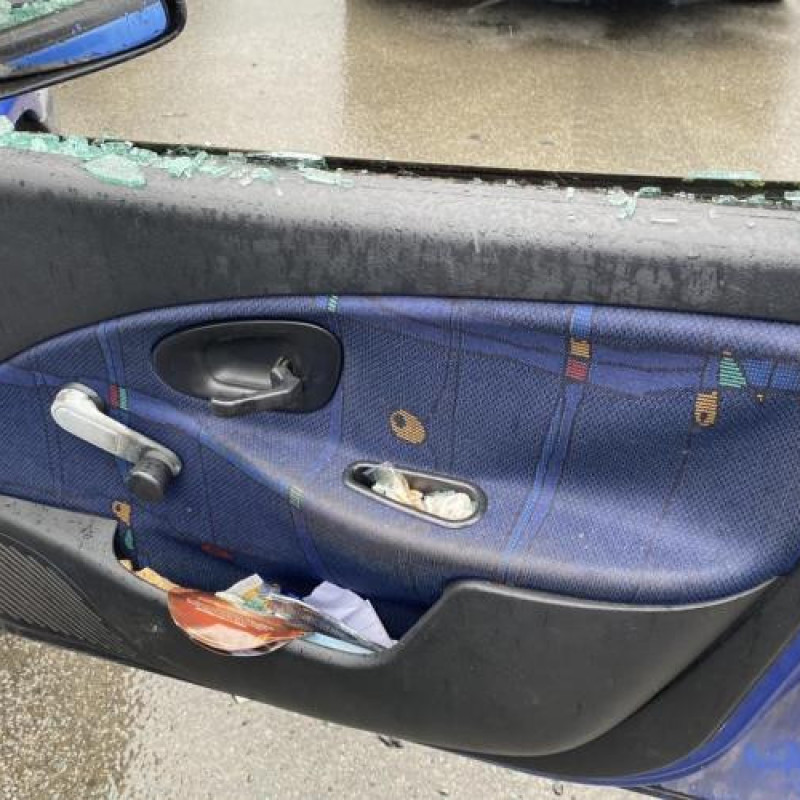 Porte arriere droit CITROEN SAXO Photo n°18