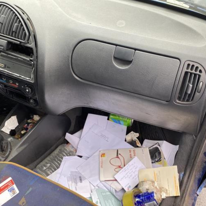 Porte arriere droit CITROEN SAXO Photo n°20