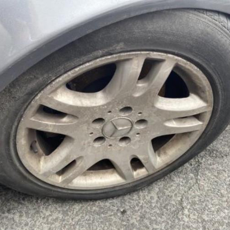 Porte arriere gauche MERCEDES CLASSE E 211 Photo n°16