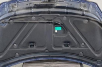 Capot RENAULT KOLEOS 1