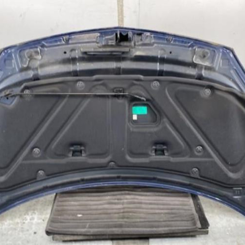 Capot RENAULT KOLEOS 1 Photo n°9
