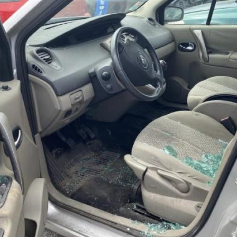 Porte arriere gauche RENAULT SCENIC 2 Photo n°9