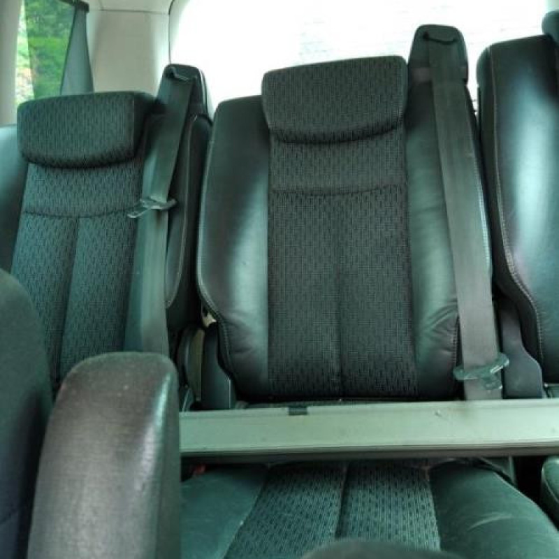 Custode arriere gauche (porte) RENAULT ESPACE 4 Photo n°6