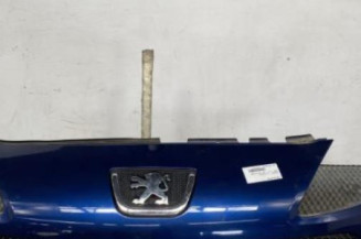 Calandre PEUGEOT 1007 Photo n°1