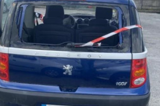 Calandre PEUGEOT 1007