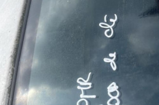 Porte avant gauche FORD GALAXY 1