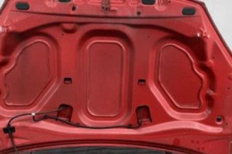Capot DACIA SANDERO 1