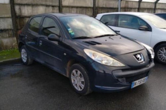Cric PEUGEOT 206+