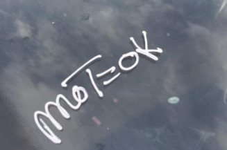Cric PEUGEOT 206+