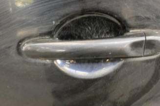 Porte arriere gauche NISSAN CUBE