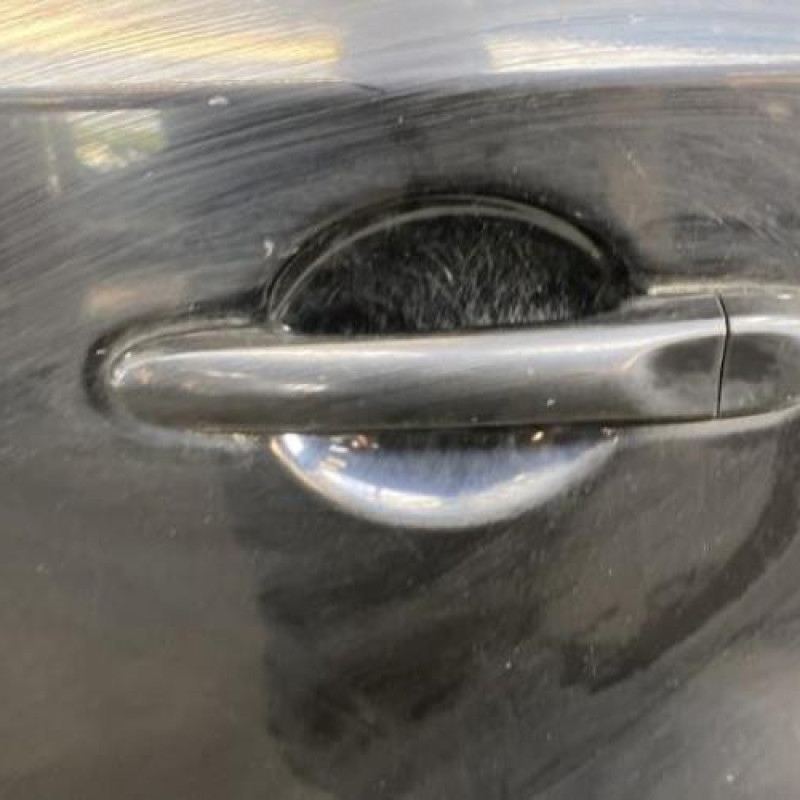 Porte arriere gauche NISSAN CUBE Photo n°2