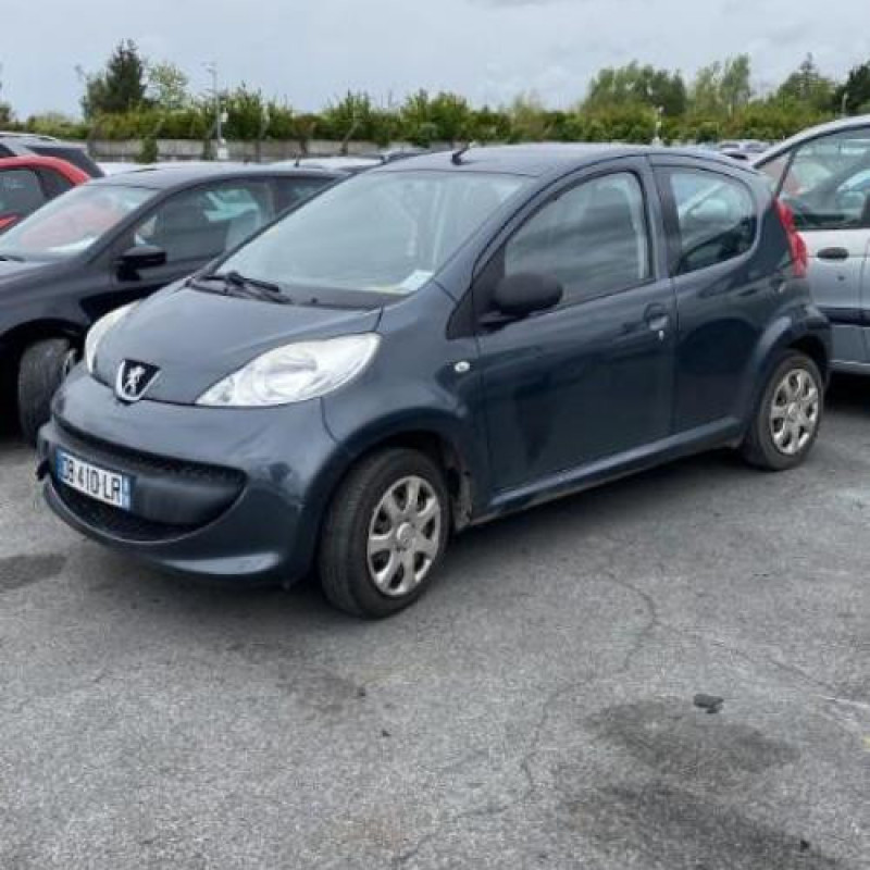 Porte avant gauche PEUGEOT 107 Photo n°10