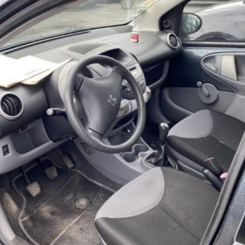 Porte avant gauche PEUGEOT 107 Photo n°15