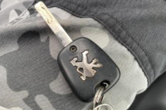 Porte avant gauche PEUGEOT 107