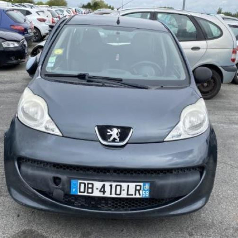 Porte avant gauche PEUGEOT 107 Photo n°20