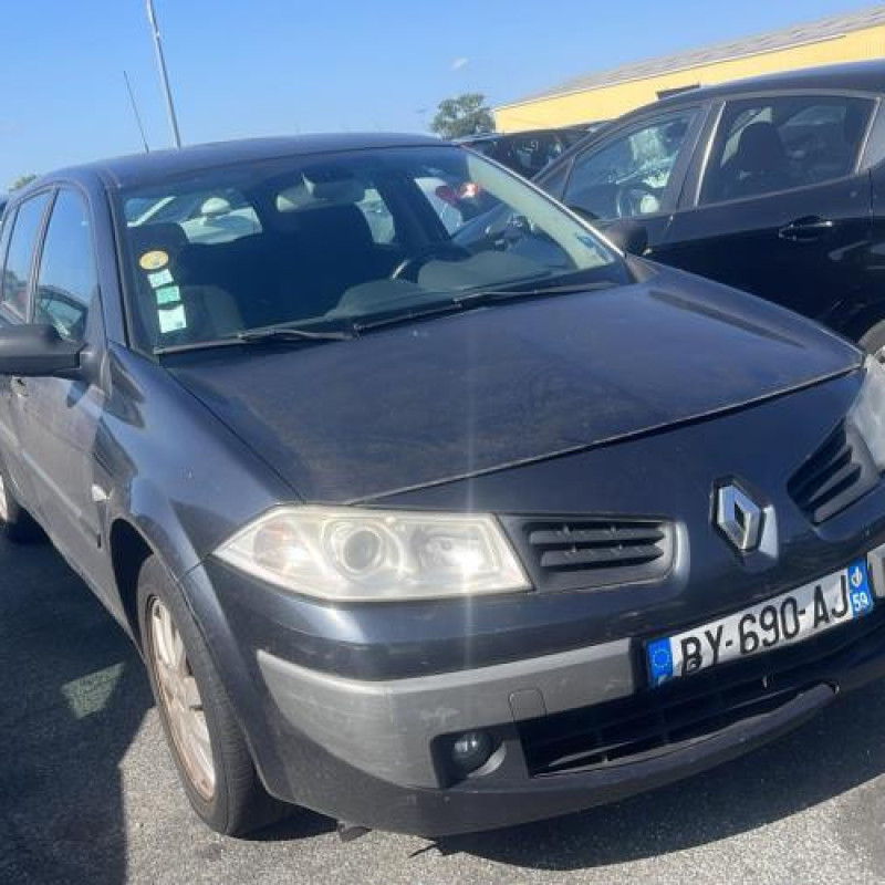 Custode arriere gauche (porte) RENAULT MEGANE 2 Photo n°2