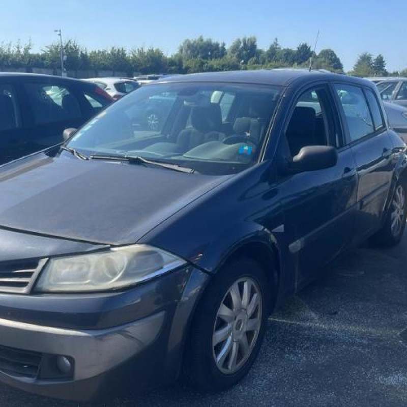 Custode arriere gauche (porte) RENAULT MEGANE 2 Photo n°3