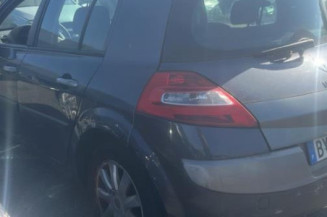 Custode arriere gauche (porte) RENAULT MEGANE 2