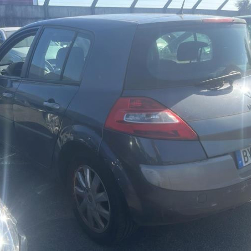 Custode arriere gauche (porte) RENAULT MEGANE 2 Photo n°4