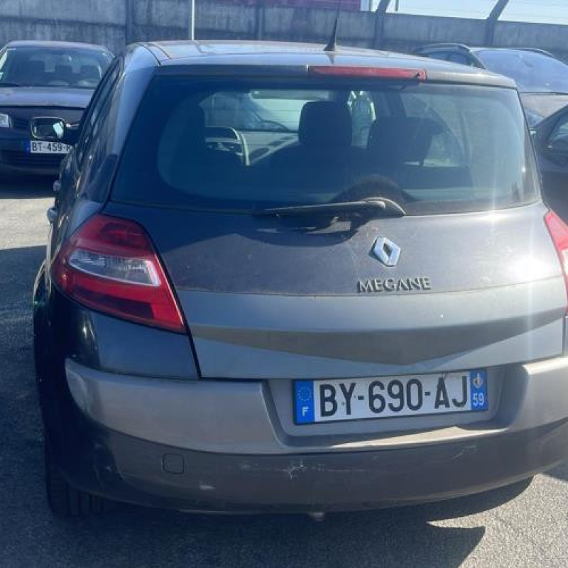 Custode arriere gauche (porte) RENAULT MEGANE 2 Photo n°5
