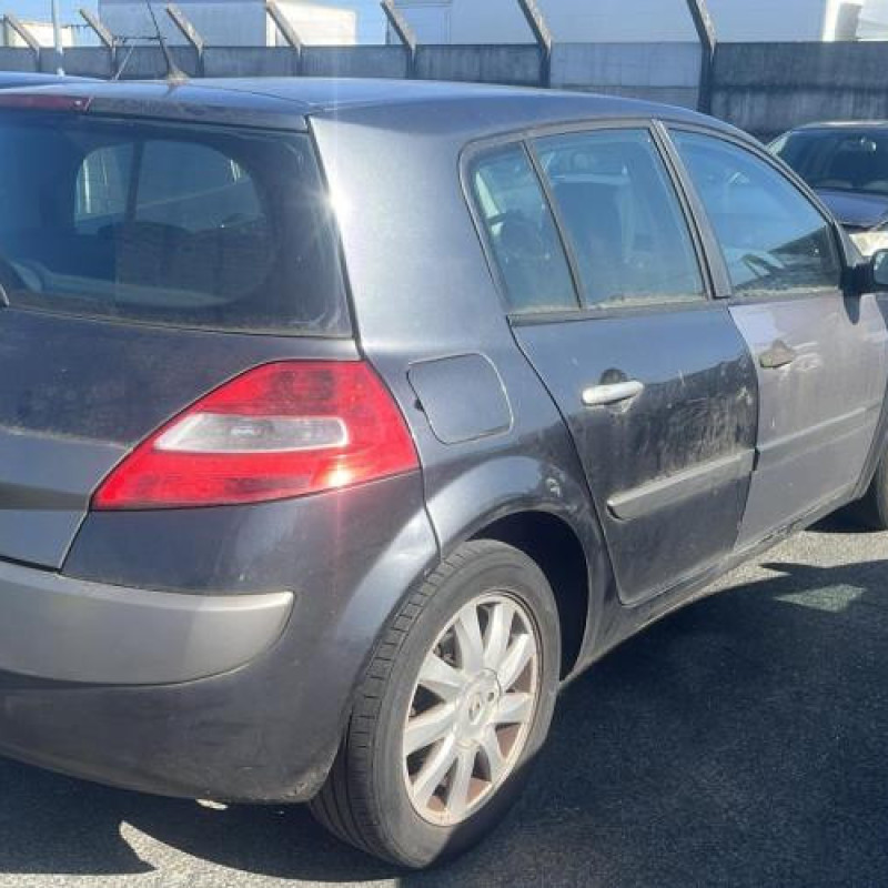 Custode arriere gauche (porte) RENAULT MEGANE 2 Photo n°6