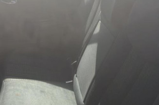 Custode arriere gauche (porte) RENAULT MEGANE 2