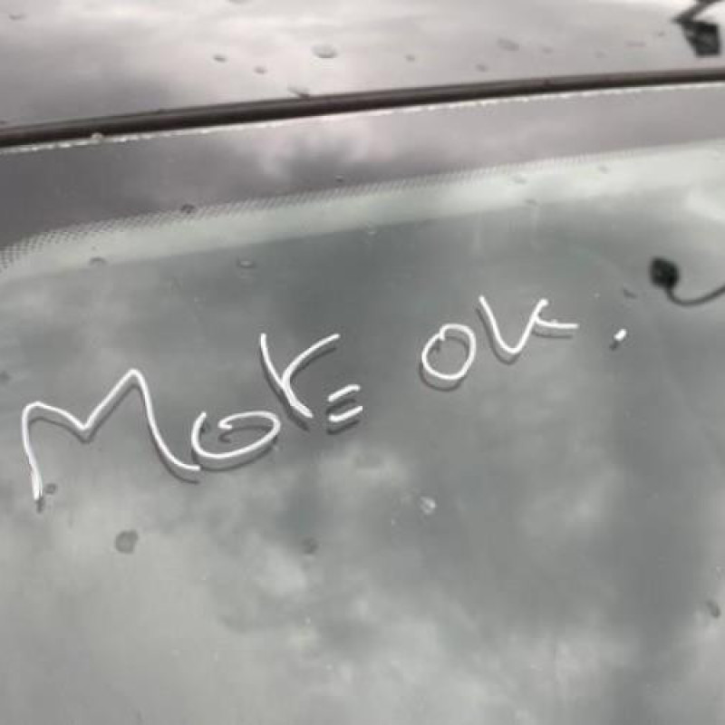 Charniere de capot RENAULT MEGANE 3 Photo n°19