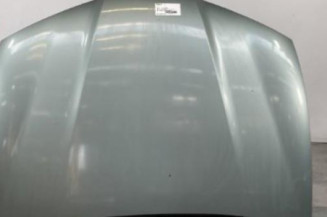 Capot SEAT IBIZA 3 Photo n°1