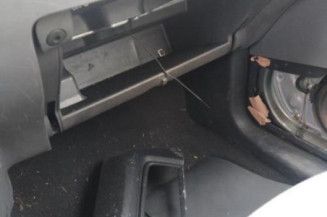 Capot SEAT IBIZA 3
