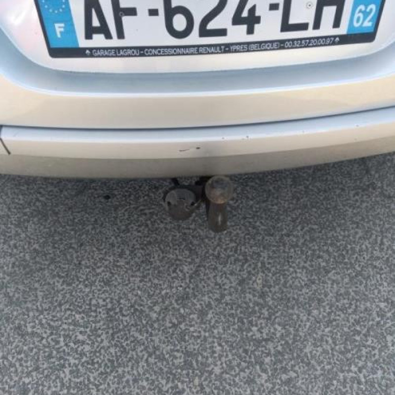 Joint de porte avant gauche RENAULT GRAND MODUS Photo n°5