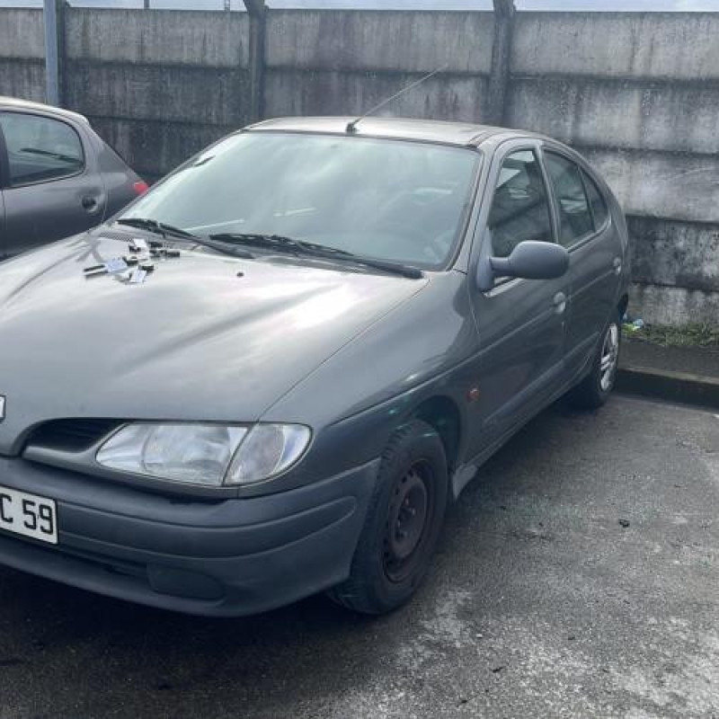 Malle/Hayon arriere RENAULT MEGANE 1 Photo n°15
