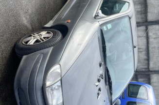 Malle/Hayon arriere RENAULT MEGANE 1