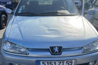 Malle/Hayon arriere PEUGEOT 306