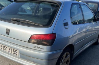 Malle/Hayon arriere PEUGEOT 306