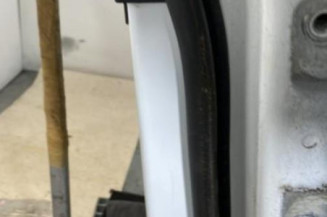 Porte arriere droit OPEL MERIVA B