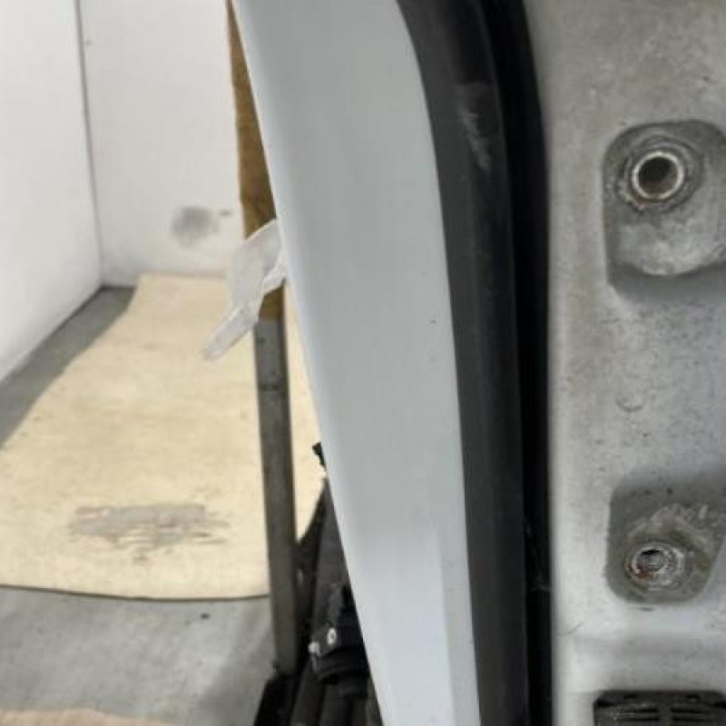 Porte avant gauche OPEL MERIVA B Photo n°4