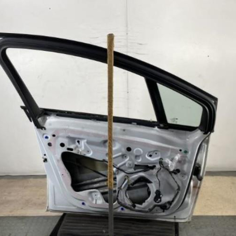 Porte avant gauche OPEL MERIVA B Photo n°6