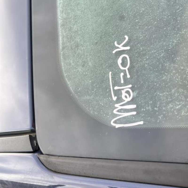 Porte avant gauche FORD FIESTA 6 Photo n°16