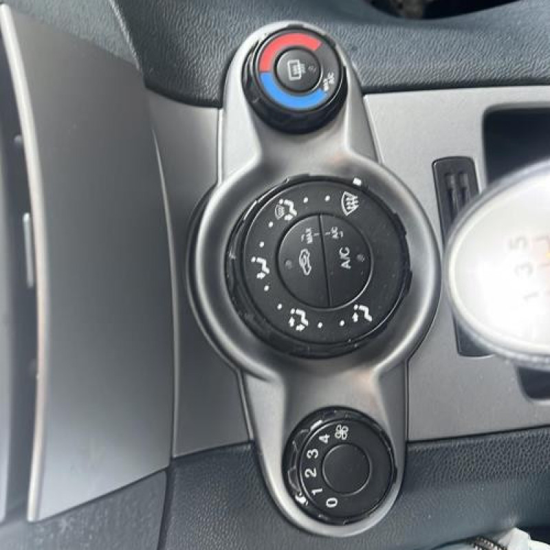Porte avant gauche FORD FIESTA 6 Photo n°19