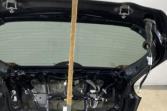 Malle/Hayon arriere NISSAN JUKE 1