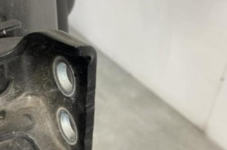 Porte arriere droit CITROEN C3 2