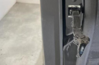 Porte arriere gauche FORD GALAXY 3