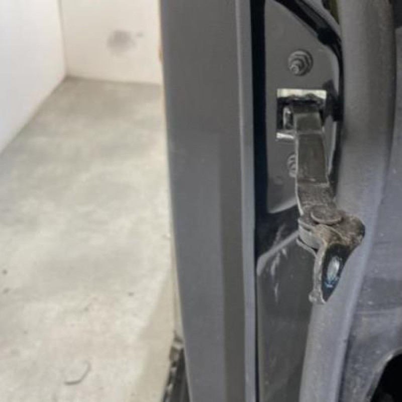 Porte arriere gauche FORD GALAXY 3 Photo n°5