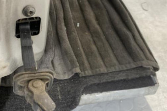 Porte avant droit SKODA FABIA 2